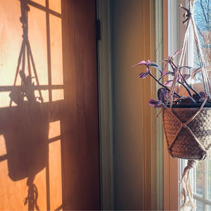 Meet your Posher, Aminul